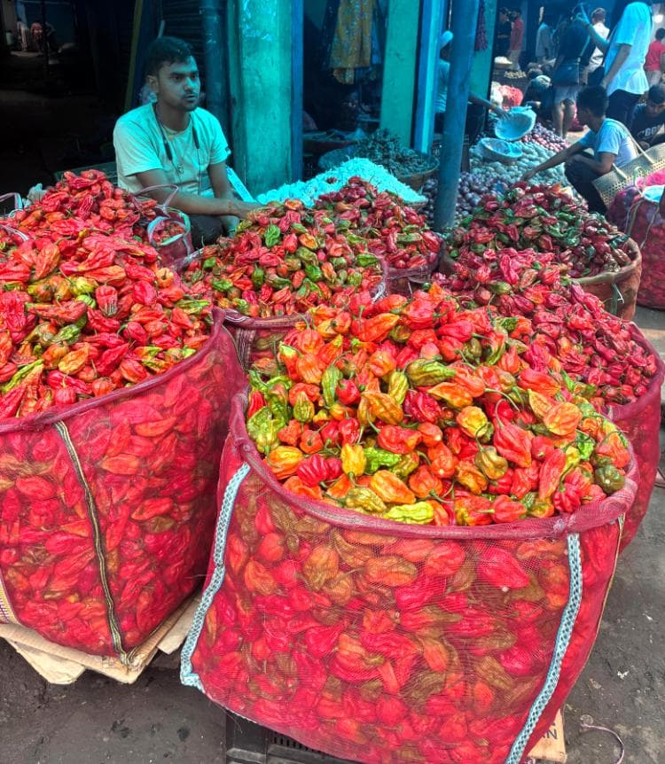 Naga chilli seller at a market in Nagaland