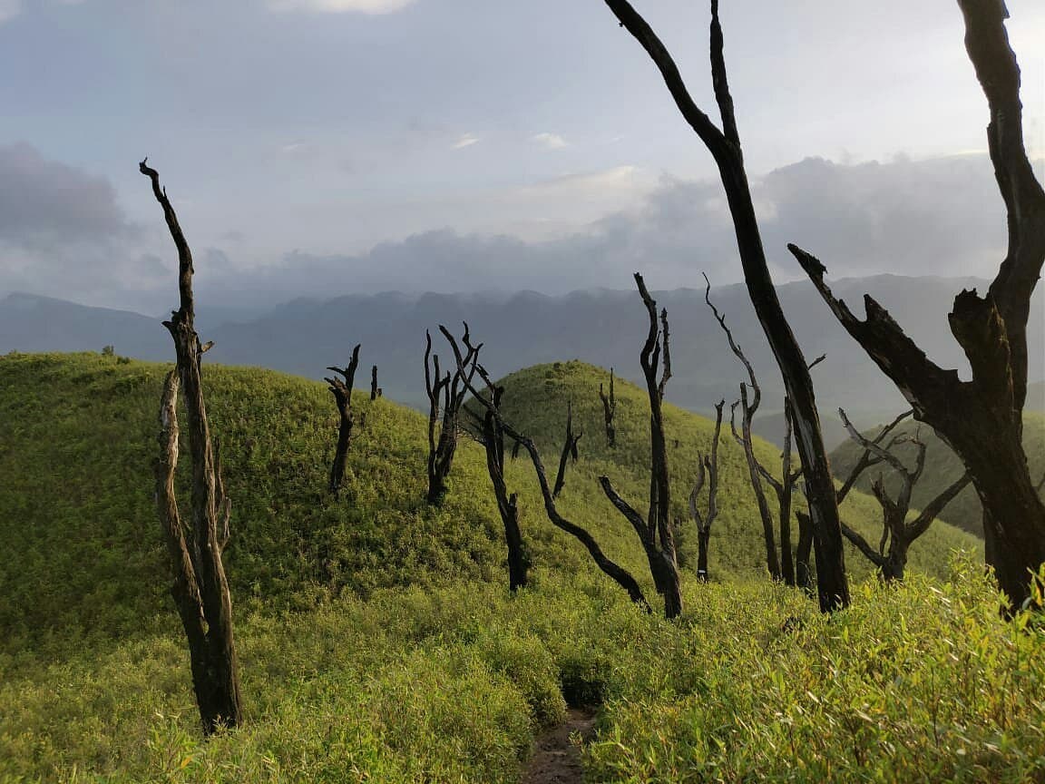 Hill landscape in Nagaland
